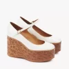 Maxime wedge pump
