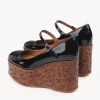Maxime wedge pump