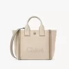 Small Chloé Carry tote bag in canvas