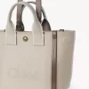 Small Chloé Carry tote bag in canvas