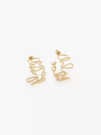 The Chloé Iconic hoop earrings