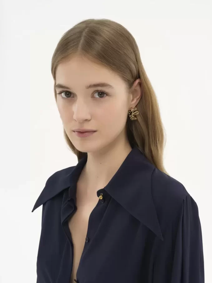 The Chloé Iconic hoop earrings