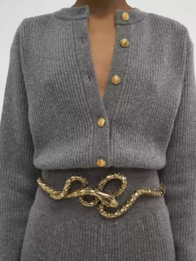 The Chloé Snake belt