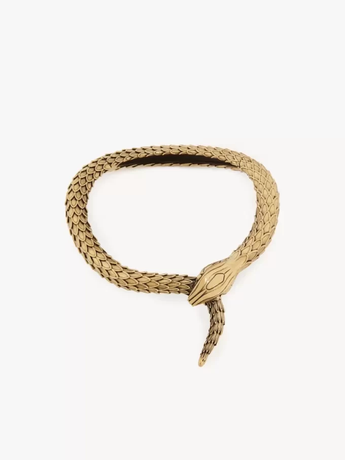 The Chloé Snake necklace